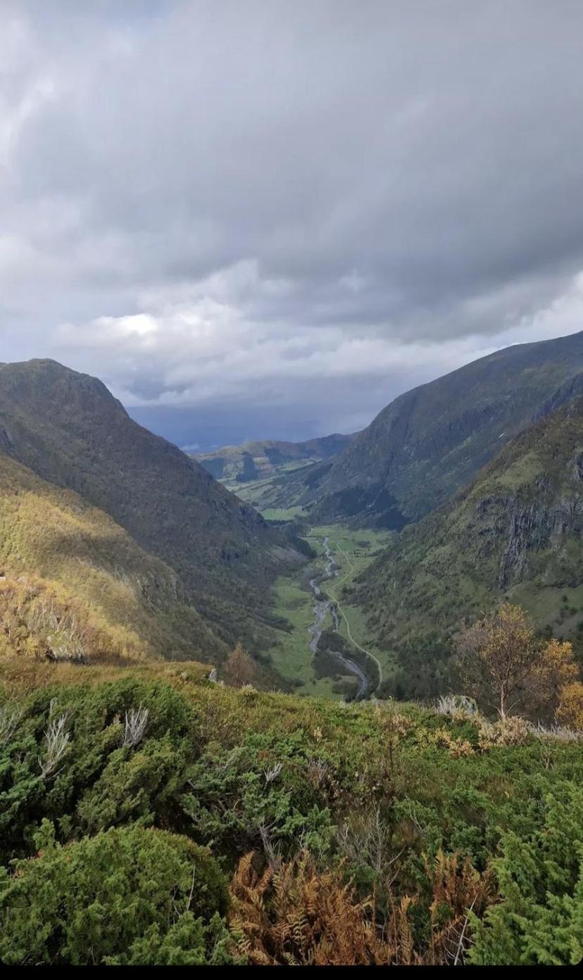 Rosendal Hyttetun ภายนอก รูปภาพ